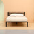 Zinus Mia 14" Black Metal Platform Bed with Headboard, Multiple Sizes