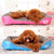 Dog Beds Paw Pet Sofa Waterproof Bottom Soft Fleece Warm Cat Bed House Petshop Dropshipping cama perro