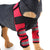 Dog knee Pads Brace Pet Dog Socks dog Leggings Guard Protection Leg Support Pads Harness Support Surgery Injury Protective Cover