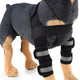 Dog knee Pads Brace Pet Dog Socks dog Leggings Guard Protection Leg Support Pads Harness Support Surgery Injury Protective Cover
