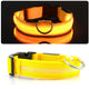 Fashion LED Pet Dog Nylon Collar Glowing Puppy Dog Night Safety Flashing Collar Pet Identity Anti-lost Neck Trap Dog Accessories