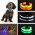 Fashion LED Pet Dog Nylon Collar Glowing Puppy Dog Night Safety Flashing Collar Pet Identity Anti-lost Neck Trap Dog Accessories
