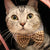[MPK Cat Bow Ties] Pet Bow Ties in Various Designs, Cats and Dogs Collar Pet Bow Tie