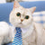 Cute Pet Ties, Dog Collar Cat Collar, Pet Bow Ties, Dog Tie, Smart-Looking Pet Costume