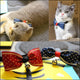 Twinkling Star Cat Collars, Blue and Red,to choose from, Neck Ties and Bow Ties Available