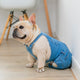 Dog Denim Dungarees, Dog Jeans Suitable for French Bulldogs, Pugs Dog Jeans