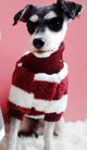New Turtleneck Dog Sweater, Very Warm Suitable for Cold Winter, 4 Colors Available