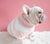 New Turtleneck Dog Sweater, Very Warm Suitable for Cold Winter, 4 Colors Available