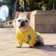 Yellow Winter  Dog Sweaters, Cartoon Design Cat Clothes, Bulldog Clothes