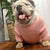 Dog Sweater for Fat Dogs, Suitable for English Bulldogs, Big-Chested Dogs, Chest 70cm to 85cm