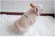 Warm Dog Vest for Small to Medium Size Dogs, French Bulldogs