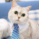 Cat Toy Cat Costume Clip Tie for Cats and Dogs, Cat Collar