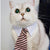 Cat Toy Cat Costume Clip Tie for Cats and Dogs, Cat Collar