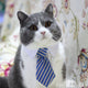 Cat Toy Cat Costume Clip Tie for Cats and Dogs, Cat Collar
