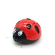 Catch Me If You Can Super Fun Cat Toy, AAA Battery-Operated Pet Toy, Watch Our Video To Know More