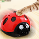 Catch Me If You Can Super Fun Cat Toy, AAA Battery-Operated Pet Toy, Watch Our Video To Know More