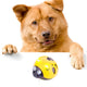 Catch Me If You Can Super Fun Dog toy, AAA Battery-Operated Pet Toy, Watch Our Video To Know More