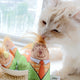Catnip Pillow, Catnip Toy, Trump Head Maize Design Cat Toy (Small)