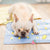 [MPK Store] Cooling Pad Dog Summer Beds Sleeping Mat Ice Heat Dissipation Cooling Pad in Summer PVC Leak-proof