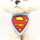 [MPK Store] Dog Bibs and Mask, Free Size Cute Looking Bibs and Mask for Pet Dogs