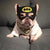 [MPK Store] Dog Bibs and Mask, Free Size Cute Looking Bibs and Mask for Pet Dogs