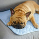 Dog Cooling Pad, Dog Cooling Bed, Summer Heat Dissipation Pad, Dog Rest Mat