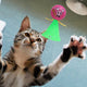 Jumping Cat Toy, Pet Cat Toy, Toy for Cats, Bouncing Toy