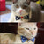 Pet Bow Tie, Assorted Designs, Anchor Pattern Cat Collar, Cat Tie, Cat Costume, Cat Bow Tie Xiao