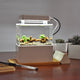 Mini Plastic Fish Tank Portable Desktop Aquaponic Aquarium Betta Fish Bowl with Water Filtration LED & Quiet Air Pump for Decor