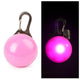 Nylon LED Glow Pet Dog Collar Pendant Night Safety Flashing Cat Dog Neck Collar Leash Luminous Adjustable Collar For Dog Walking