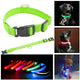 Nylon LED Glow Pet Dog Collar Pendant Night Safety Flashing Cat Dog Neck Collar Leash Luminous Adjustable Collar For Dog Walking