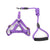 Nylon Pet Dog Leash Harness Set Adjustable Puppy Dog Walking Lead Collar Leash Harness Vest Traction Rope Dog Accessories