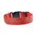 Pet Cat Dog Glow LED Collar Flashing Nylon Outdoor Night Safety Collars Pet Glowing Neck Belt for Small Large Dog Accessories