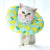 Pet Elizabeth Circle Collar Cotton Dogs Protective Neck Collar Cat Wound Healing Medical Anti Bite Puppy Recovery Scratching