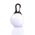 Pet Night Safety LED Flashlight Dog Cat Collar Leads Lights Glowing Pendant Necklace Pet Luminous Bright Glowing Collar For Dog