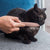 Portable Pet Hair Removal Comb Durable Simulation Cat Tongue Massage Comb Kitten Daily Hair Care Grooming Accessories