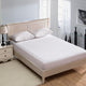 Terry Waterproof Size 160X200cm Bed Waterproof Cover Mattress Protector Cover for Bed Wetting and Bed Bug Suit for Russian Size
