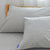Waterproof Pillow Protectors for Bed Bug Terry Anti-mite Bed Wetting Proof Pillow Covers 2 Pieces 5 Colors Available