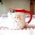 YeFine Advanced Christmas Gift Ceramic Mugs Coffee Large Capacity Water Container Cartoon Cups With Lid Father Christmas